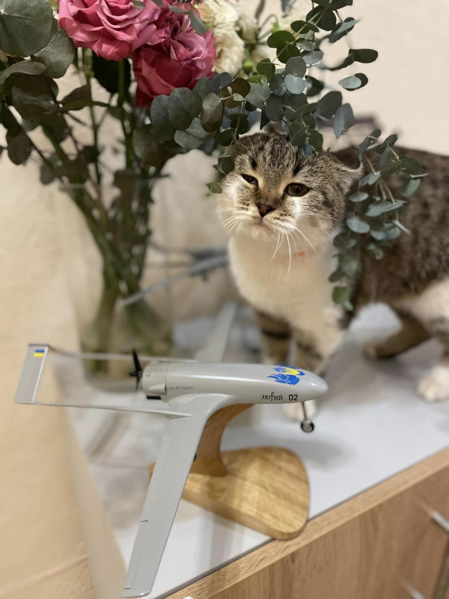 Secret drone attacking refinery in Russian Ryazan: Details