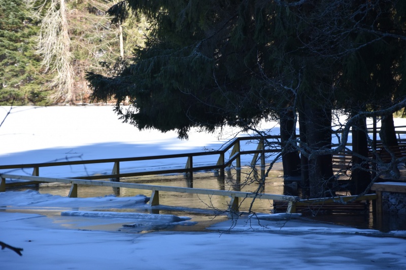 Carpathian most famous lake overflows and freezes: Stunning photos revealed