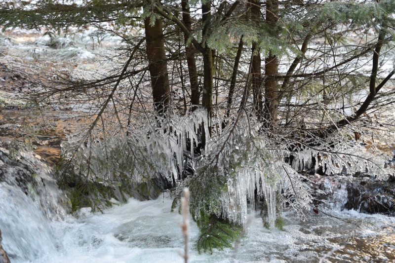 Carpathian most famous lake overflows and freezes: Stunning photos revealed