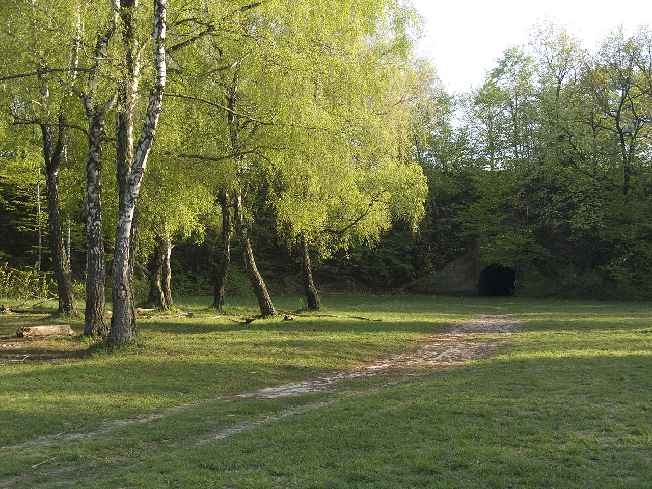 8 mysterious places in Ukraine for enthusiasts of mysticism