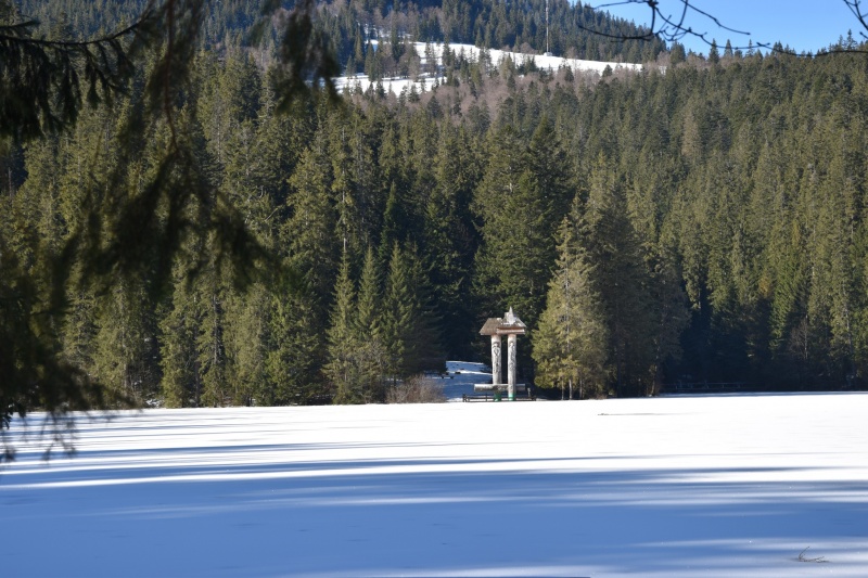 Carpathian most famous lake overflows and freezes: Stunning photos revealed
