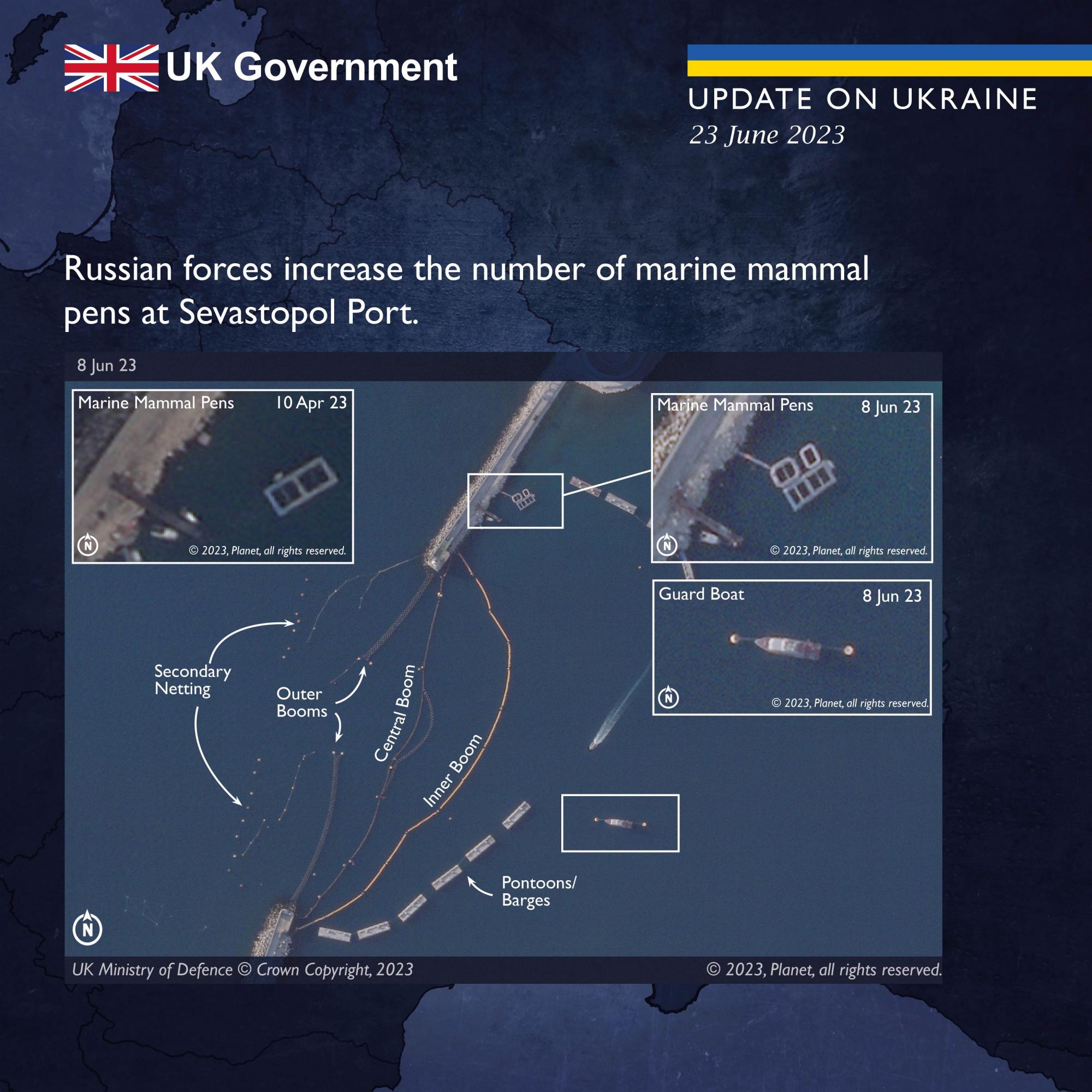 British intel reveals target of combat marine mammals in Sevastopol harbor