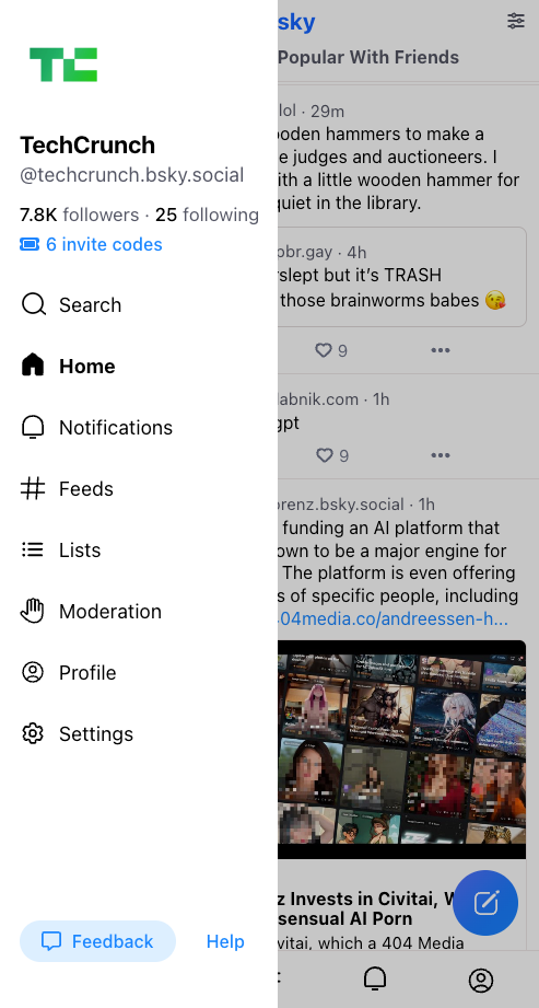 BlueSky explained: Why biggest X's competitor trending