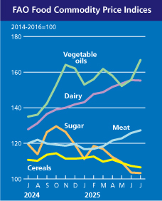 Global food prices surge in July 2025