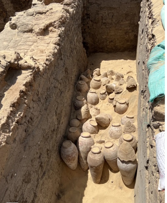 5,000-year-old wine found in Egyptian tomb