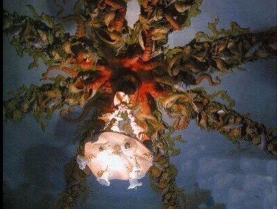 House with Chimaeras is just as fantastic inside as outside