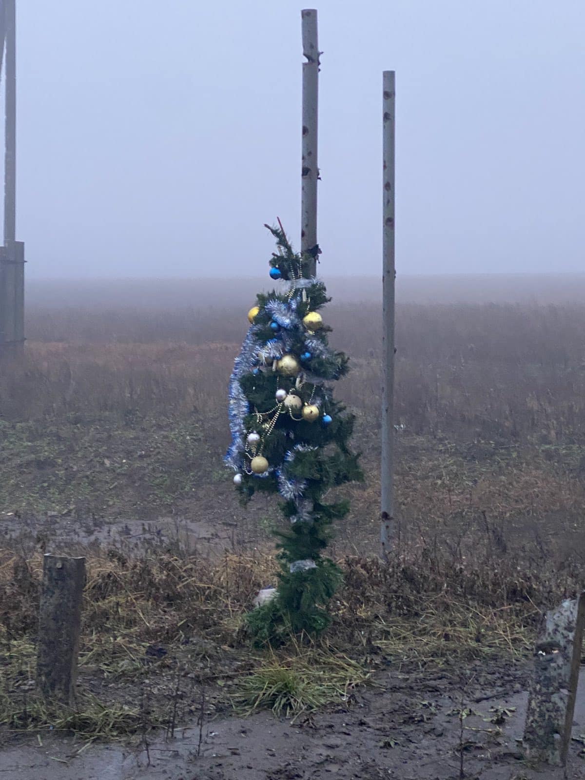 Unbreakable spirit: Ukrainian military shows country's main Christmas tree near Bakhmut
