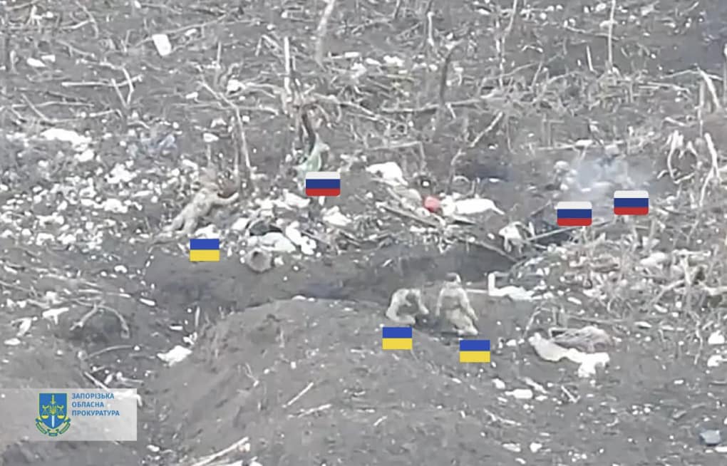 Ukrainian POWs executed by Russian soldiers near Robotyne, Zaporizhzhia region: Investigation initiated