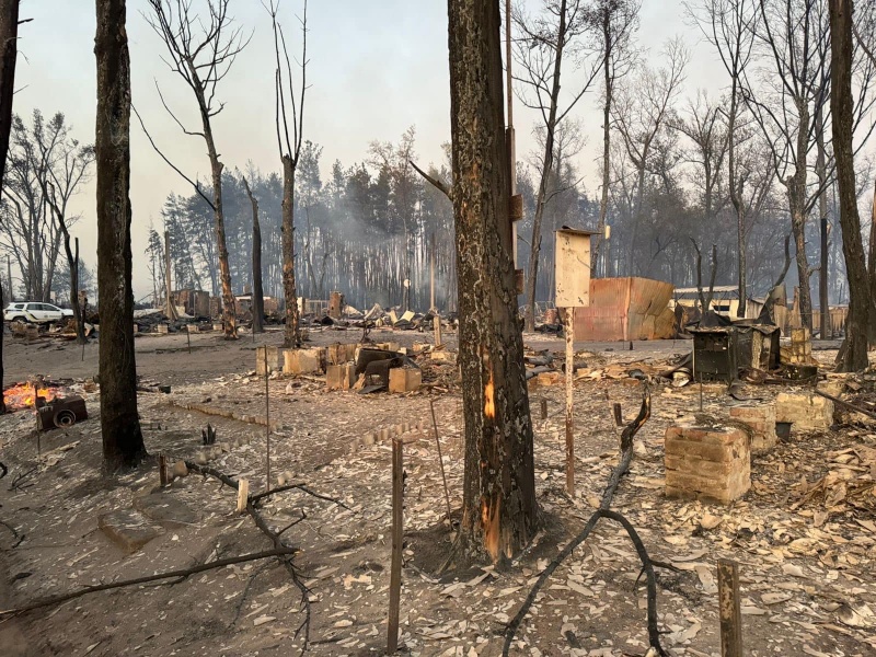 Whole village burned down in forest fire in Kharkiv region: Victims reported