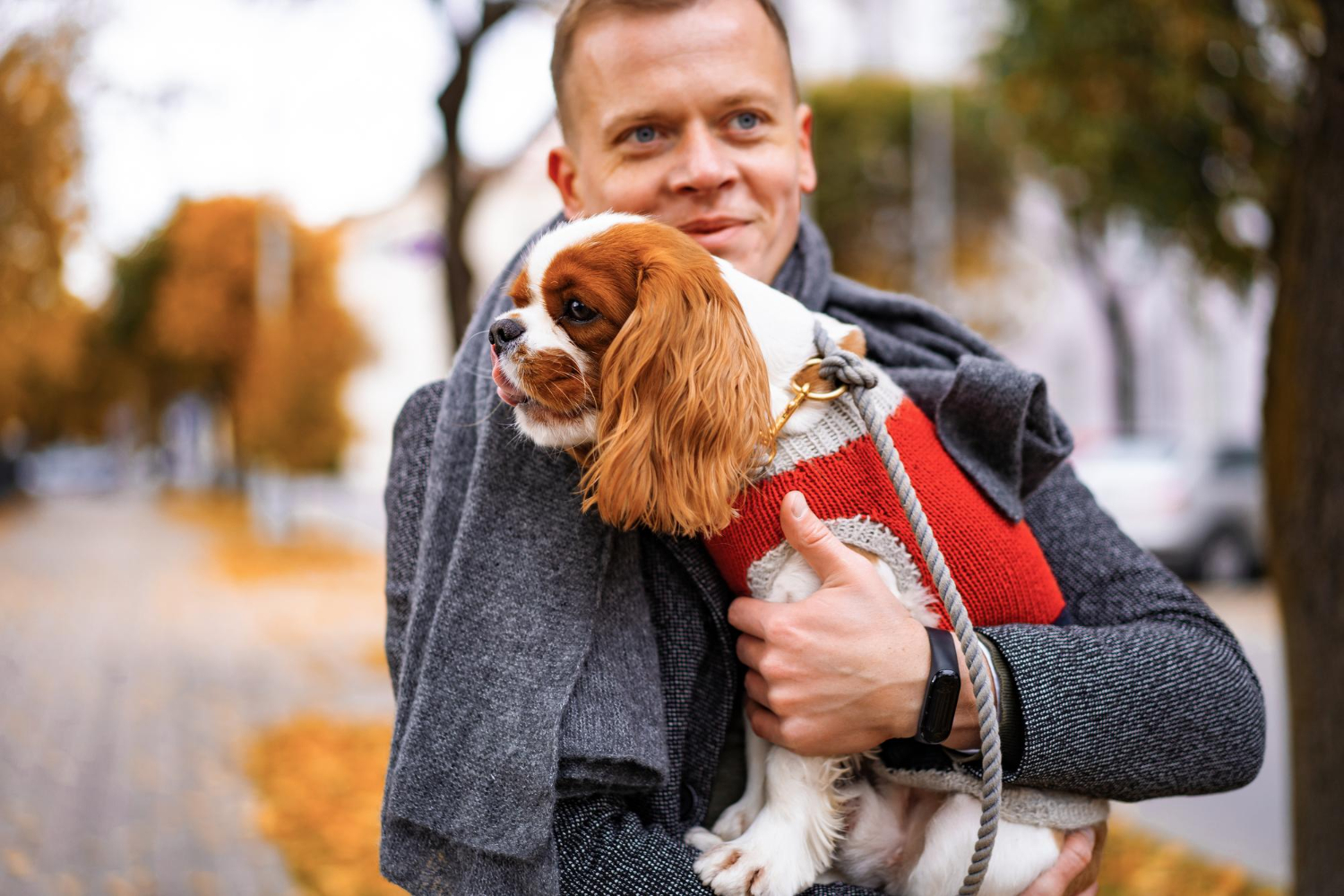 10 undemanding dog breeds: True friends for owners