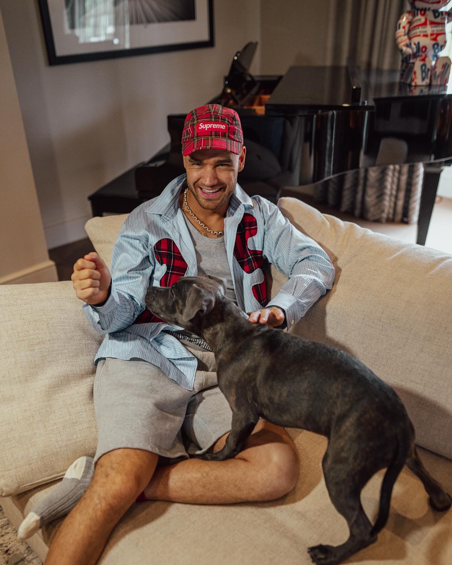 One Direction singer Liam Payne died in Argentina