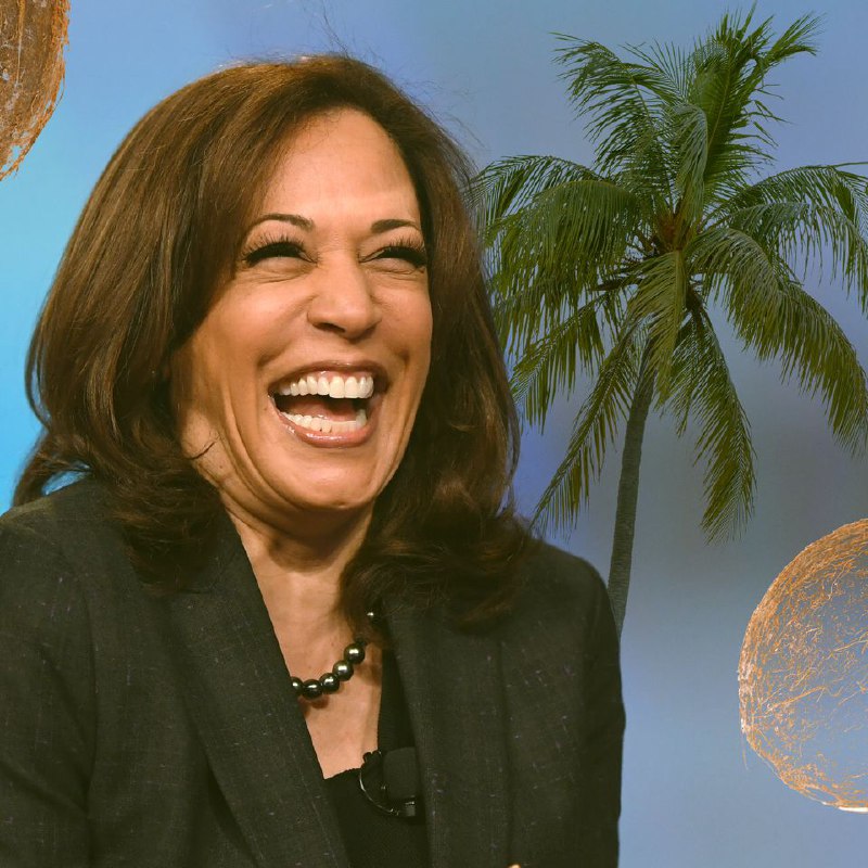 Kamala Harris’s honeymoon: What reignited drama in US presidential race