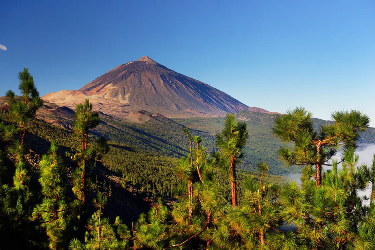 Hot giants. 5 highest volcanoes in Europe