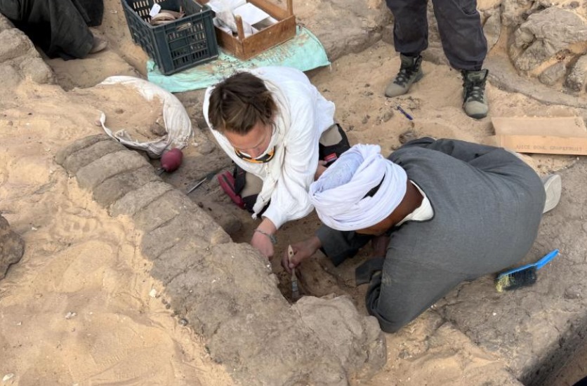 5,000-year-old wine found in Egyptian tomb