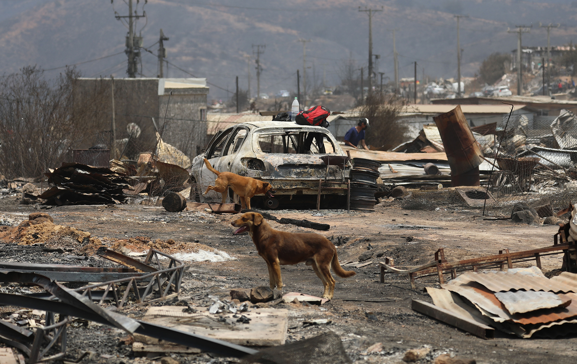 Chile wildfires: At least 112 died as flames rage across the country