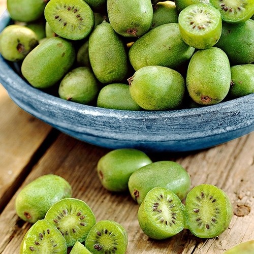 Boost immunity, vision, and mood with this must-try superfruit