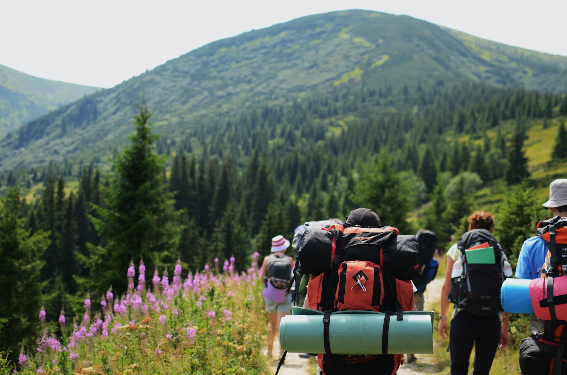Tourism in Ukrainian Carpathians in summer of 2024: Demand rebounds
