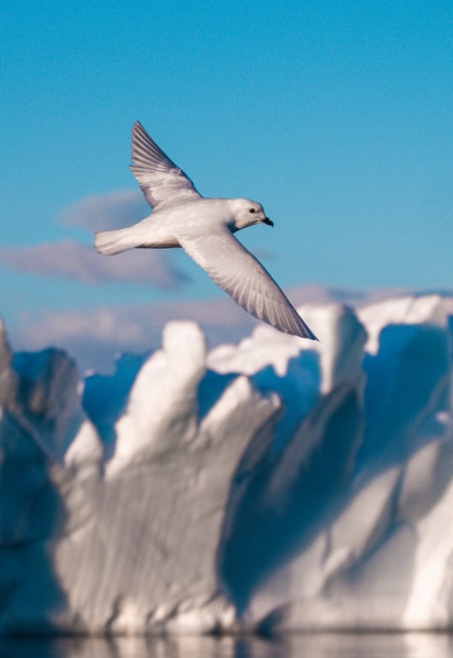 'If Antarctica melts, cities will go underwater'. Ukrainian polar scientist on working at the edge of the world