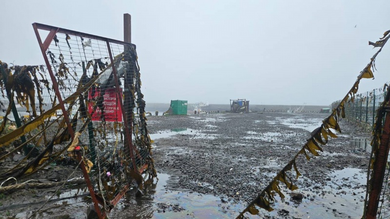 Biggest earthquake since 50s in Kamchatka: Damage and fallout of record-breaking tremor