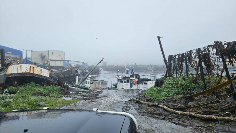 Biggest earthquake since 50s in Kamchatka: Damage and fallout of record-breaking tremor