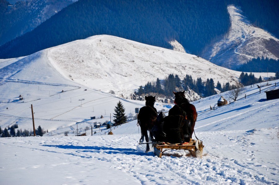 Holidays in Ukraine: Winter activities for tourists in Carpathian mountains