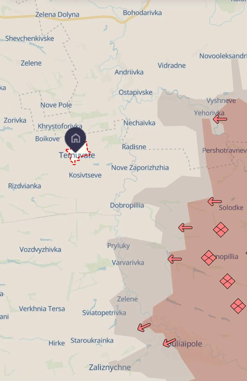 Flag planted, captives taken: Russian forces' 'capture' of Ternuvate in Zaporizhzhia region