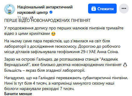 Vernadsky station polar explorers showcase newborn penguins