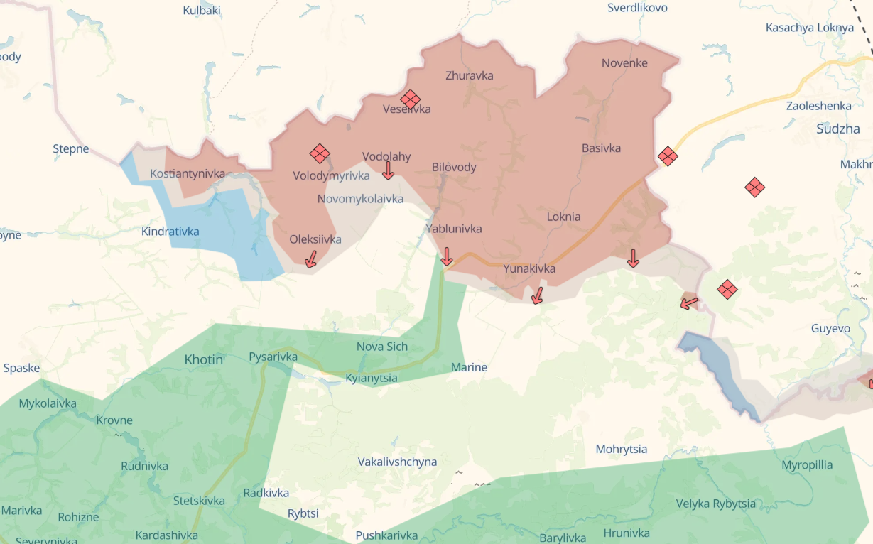 Zelenskyy hails frontline gains in Sumy region amid crushing Russian losses