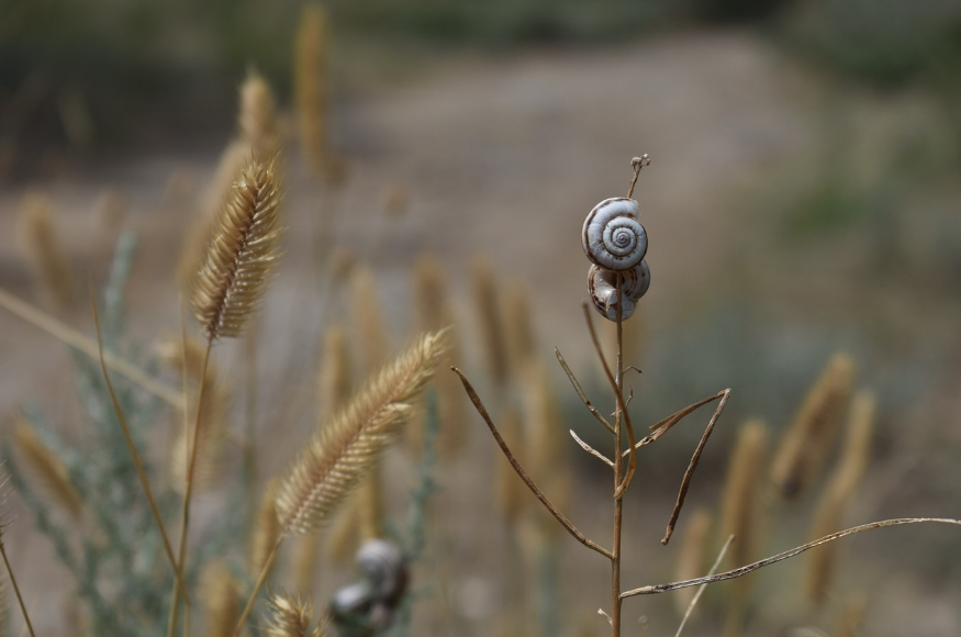 Extreme heat wave to hit Europe: What to expect this summer
