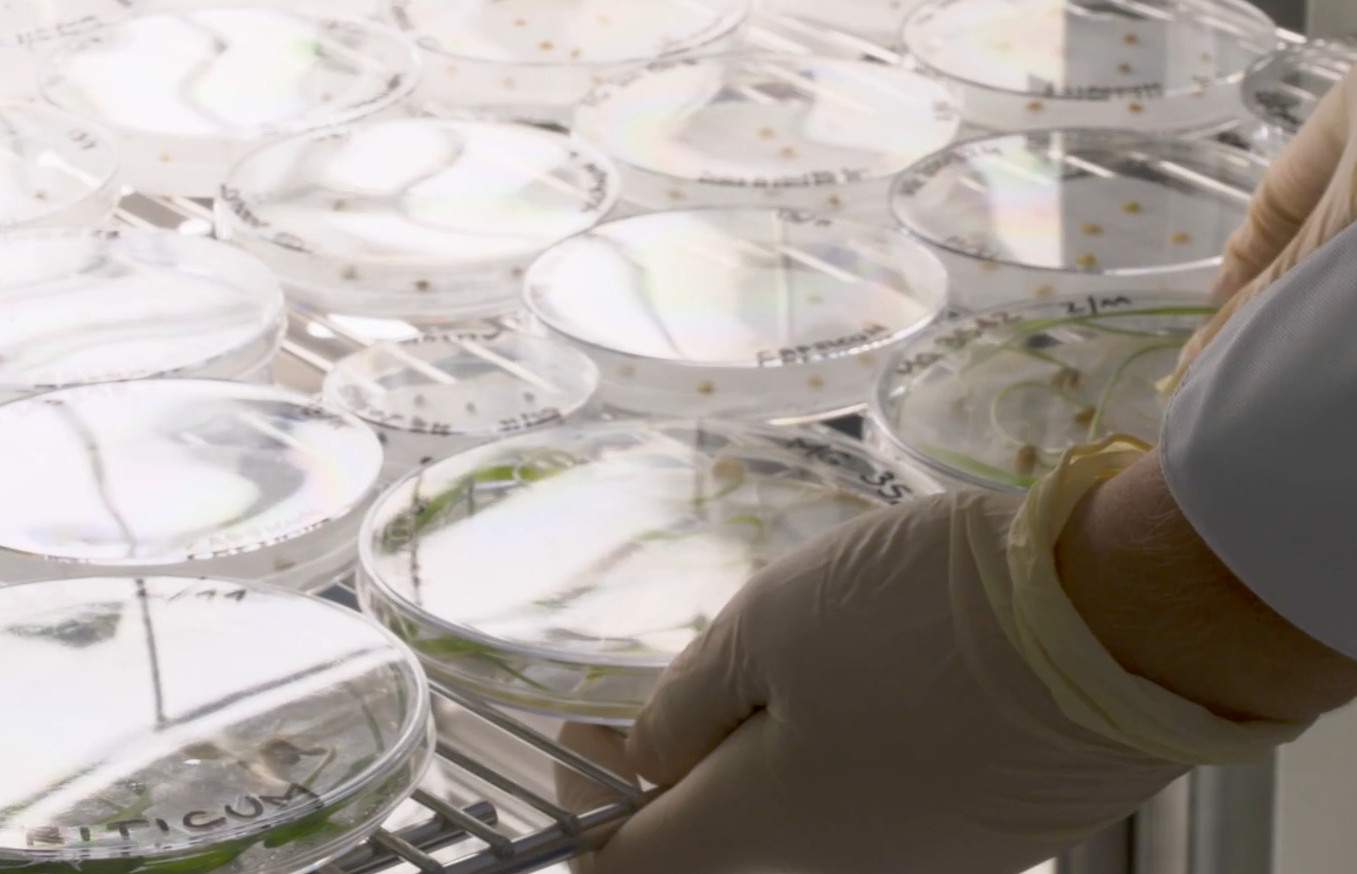 Doomsday Vault: Location of unique facility and how to visit