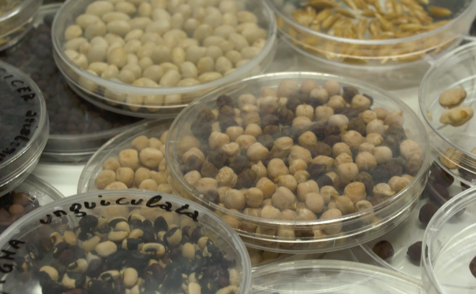 Doomsday Vault: Location of unique facility and how to visit