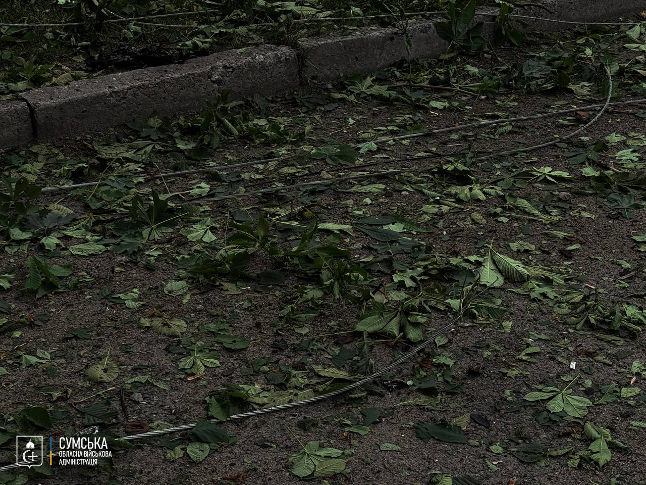 Russian drones attack Ukraine's Sumy: Houses damaged, casualties reported