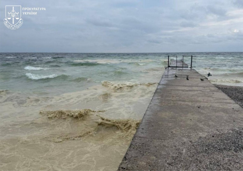 Ukraine's Odesa beaches hit by oil pollution, dead birds discovered