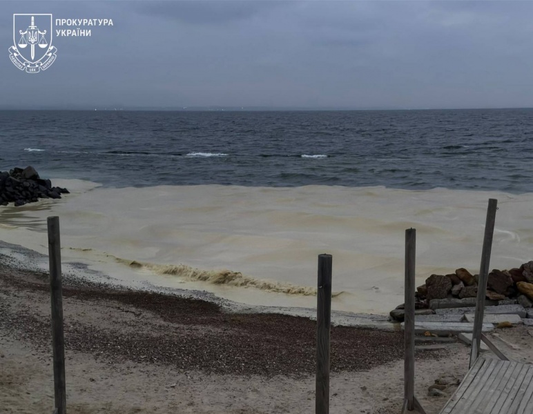 Ukraine's Odesa beaches hit by oil pollution, dead birds discovered