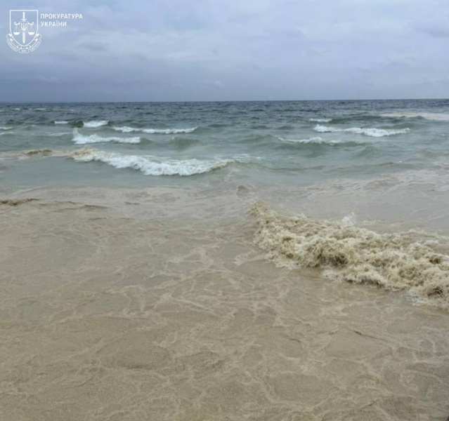 Ukraine's Odesa beaches hit by oil pollution, dead birds discovered