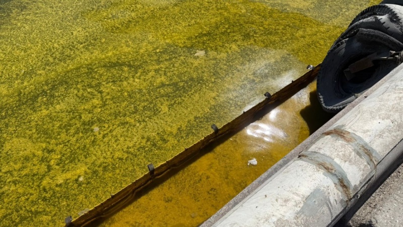 Russian strikes on Ukraine's Odesa port spill tons of sunflower oil in Black Sea