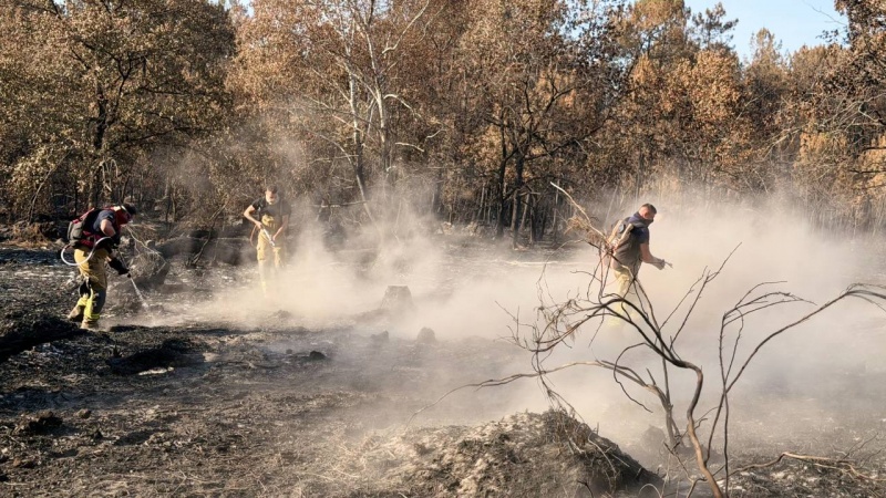 Ukrainian rescuers arrive in France to battle massive wildfire