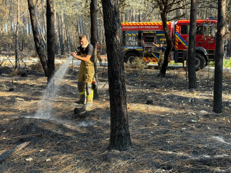 Ukrainian rescuers arrive in France to battle massive wildfire