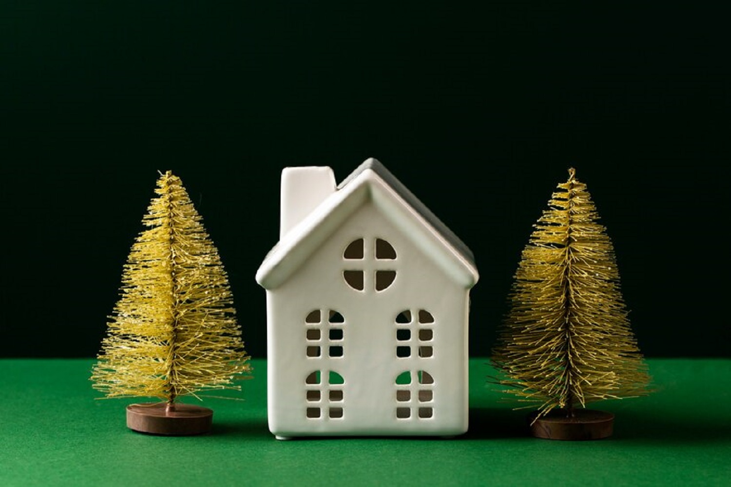 Trees that should not be planted near your house