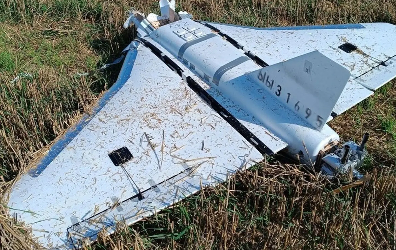 PACE Vice-President Lord Don Touhig: 'One can't be clear what President Trump is seeking to do'