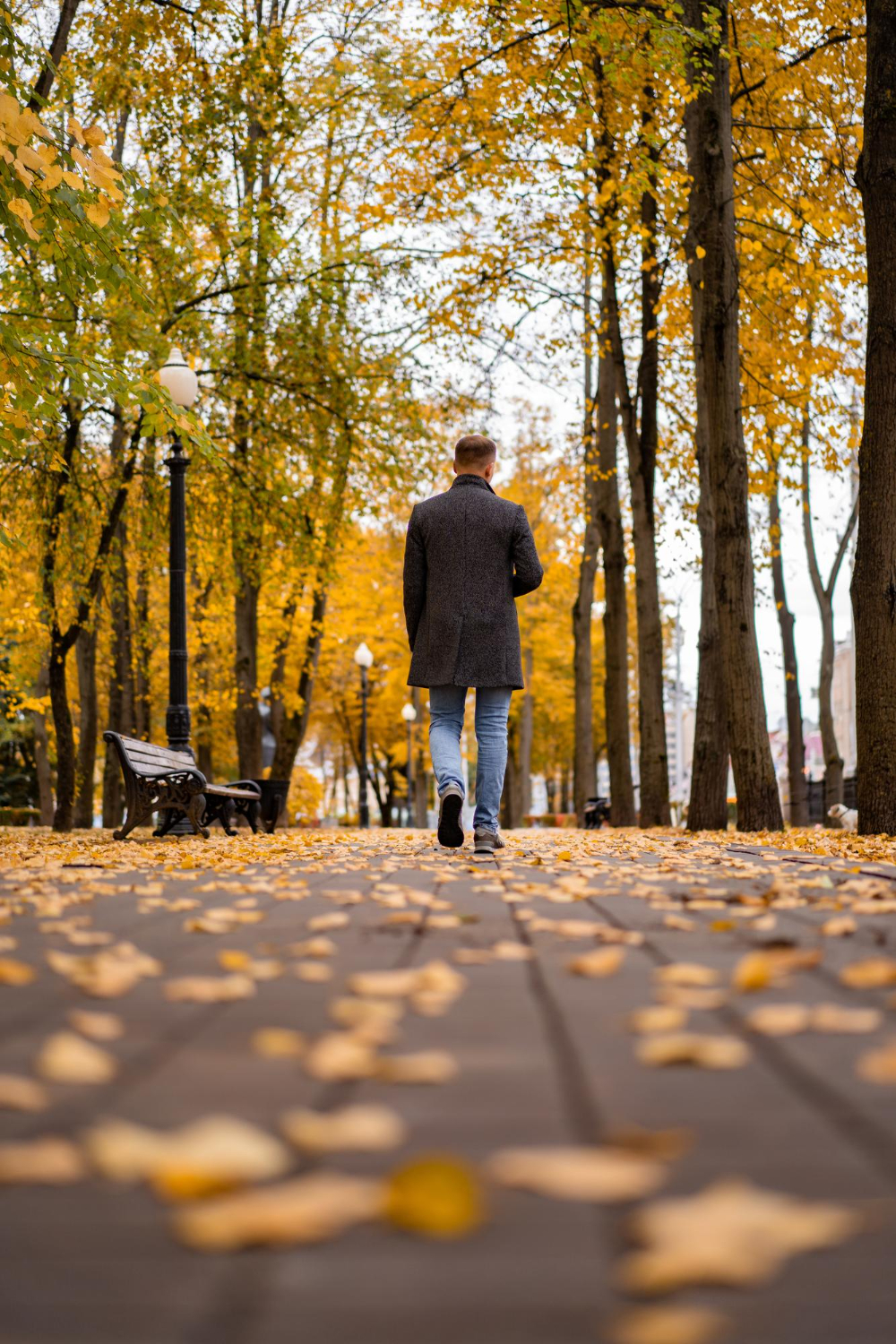 7 facts about walking benefits to help you embrace long walks