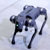 Robot dogs to patrol Mexico's streets during 2026 World Cup