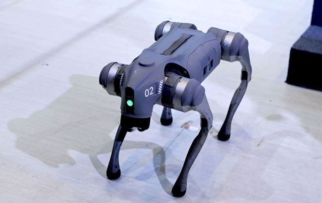 Robot dogs to patrol Mexico's streets during 2026 World Cup