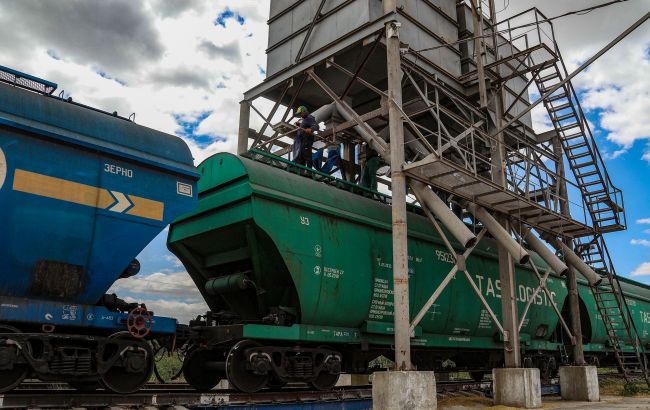 Ukraine finds safer way to export grain and asks for 50% discount &ndash; Reuters