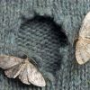 Methods to get rid of moths in your closet