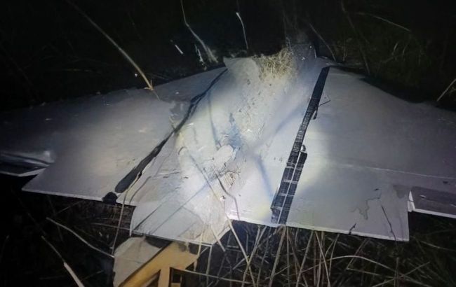 Direct hit: Ukraine's Air Force shows destruction of Shahed drones