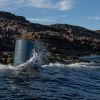 Debris, likely from a Russian missile, discovered off the coast of Norway