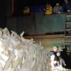 Russia strikes Golden Rose bulk carrier, crew rescued