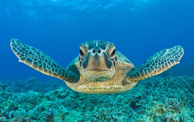 Fifth ocean on map: Here’s what scientists now recognize