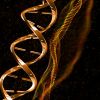 Scientists uncover new DNA-building process once seen as biological error